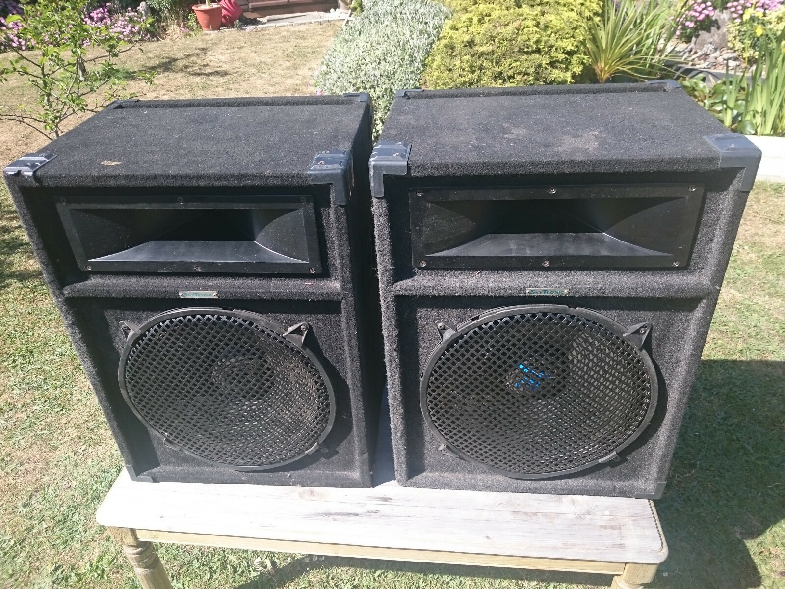 best pa speakers under 300