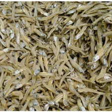 Small Anchovies Blue Eyes Fresh Good Quality 500GM