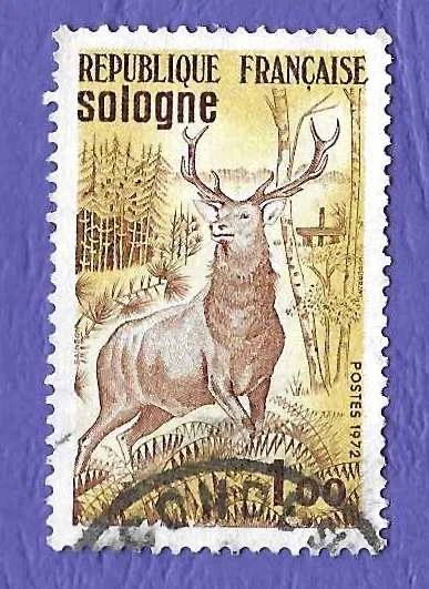 TIMBRE FRANCE 1972, SOLOGNE, OBLITÉRÉ - Photo 1/1