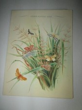 Union Castle Line "Winchester Castle" 1953 Signed Ships Menu C11