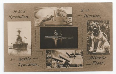 HMS RESOLUTION Revenge / R-class Battleship 1st Battle Squadron SHIP'S DOG RP PC
