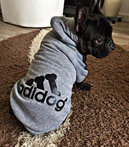 adidog clothing