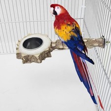 Bird Perch with Food Feeding Bowl Bird Stand for Lovebird