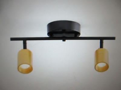 Vidalite Shura 2-Light Black & Brass Integrated LED Track Light Rotatable Heads