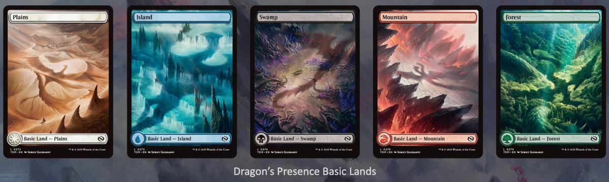 5x Foil Tarkir Dragonstorm Full Art Land Magic the Gathering MTG