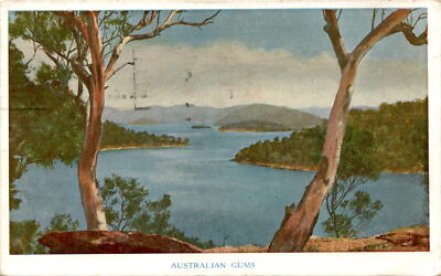 Australia, Calvity, Swales, September 27, 1950 Postcard | eBay