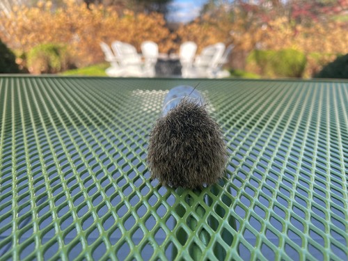 HOFFRITZ PURE BADGER AUSTRIA TOELETTATURA TOELETTATURA CREMA DA BARBA FRUSTA SPAZZOLA BACHELITE - Foto 11 di 13