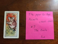 (1920's) The Paper for Boys QUEER ANIMALS #7 The Koala Bear
