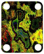 Neckplate to fit Graphical Electric Guitar Color PJ Bass Strat Tele Camouflage 2