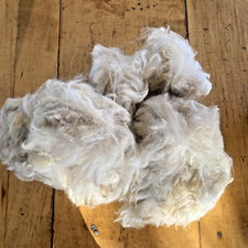 Bird Nesting Alpaca Fiber, WHITE Stuffed 1 Gallon Bag Ready To Use Raw Organic