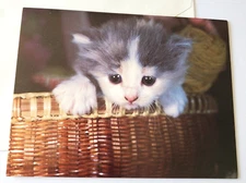 Vintage Greeting Card Blank Current Inc Cuddly Kittens in Basket