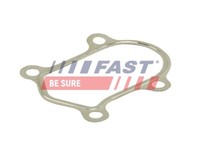 Fast FT84803 Dichtung Abgasrohr Auspuffdichtungen FüR Fiat Ducato 244 230 230L