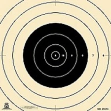 SR-21C NRA Official 100 Yard Repair Center for SR-21 Target (50) Tagboard
