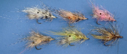 Wollenschläger´s Küstenfliegen 6 Farben Auswahl Gamakatsu F314 / #4 ALIVE SHRIMP