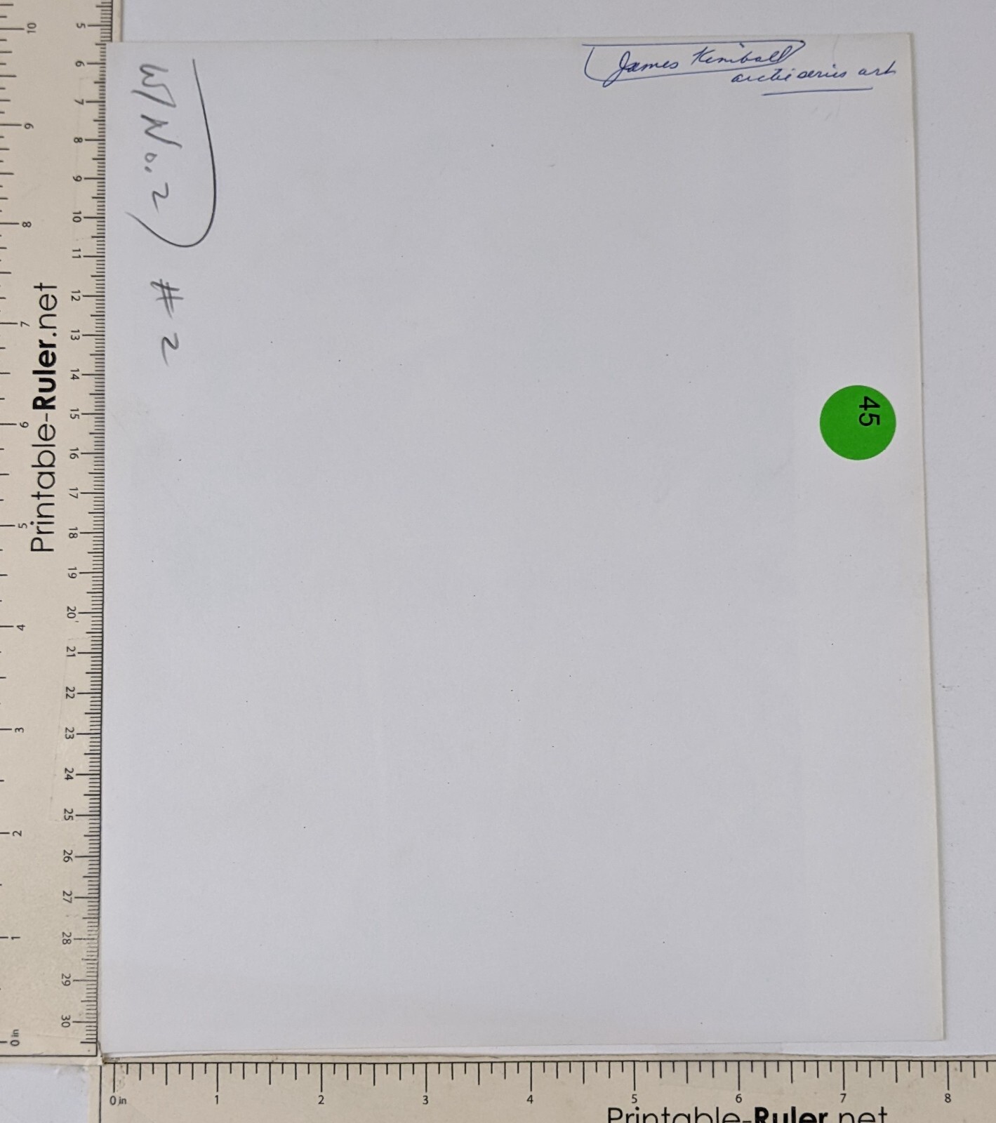 1970s Driftwood Animal Bones Debris Nature Outdoor Vintage Press Photo