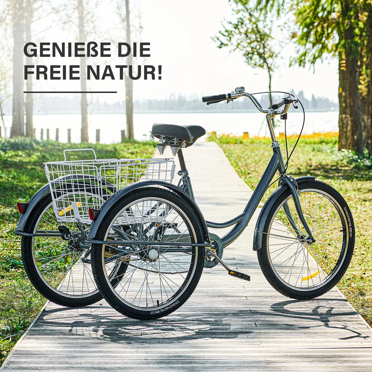 24 Zoll Dreirad Erwachsene Fahrrad 3 R der Grau Erwachsenendreirad