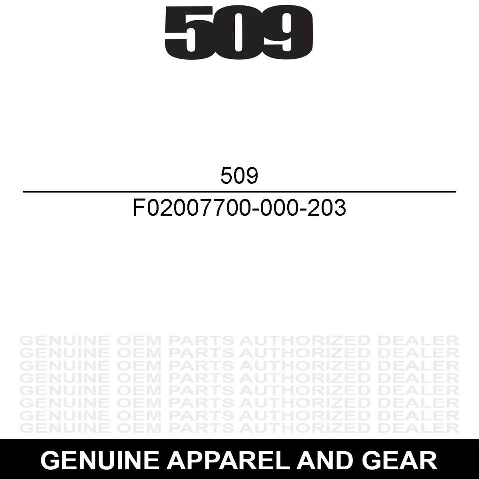 509 Aviator 2.0 Ignite S1 Anti Fog Scratch Fire Mirror Photochromatic Clear/Blue Foto 2 de 3