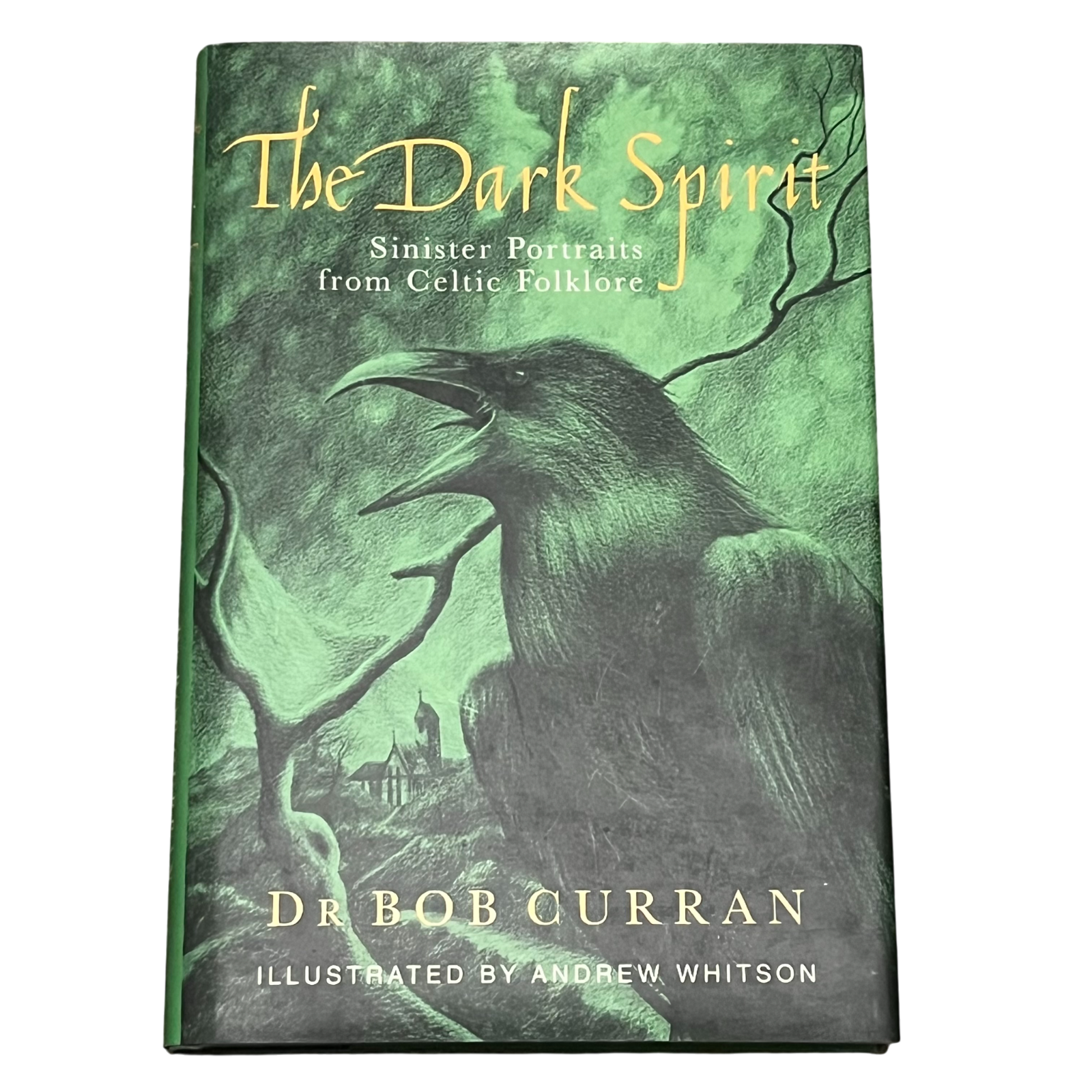 Dark Spirit : Sinister Portraits from Celtic History by Dr. Bob Curran Hardback
