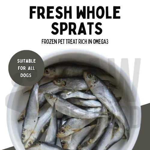 Whole Frozen Raw Sprats Rich in Omega3 Oily Fish Dog Cat Food Treat Up to 20kg
Opens in a new window
