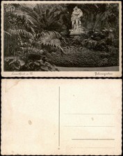 Frankfurt am Main Palmengarten Partie im Garten (Pflanzen Botanik) 1930