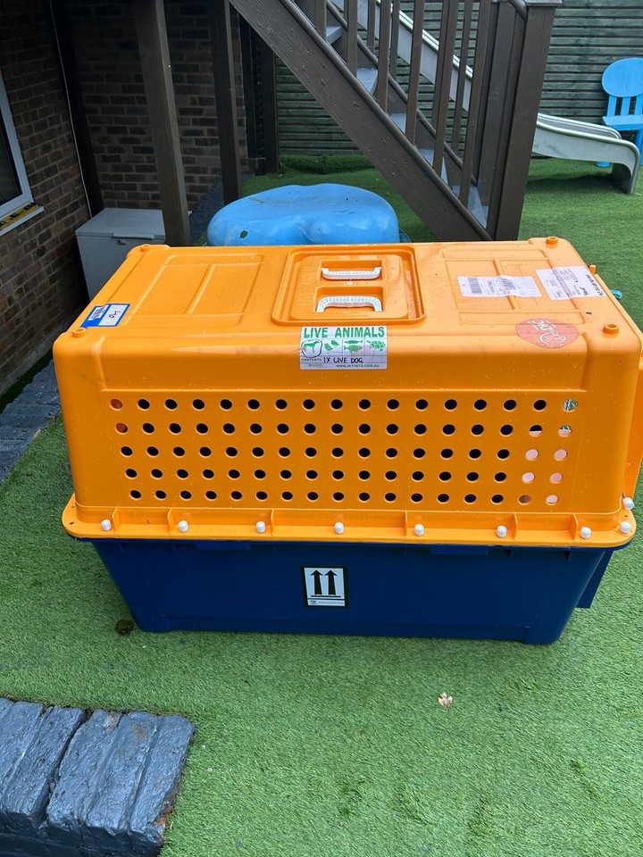 Large dog crate for Airline transport eBay