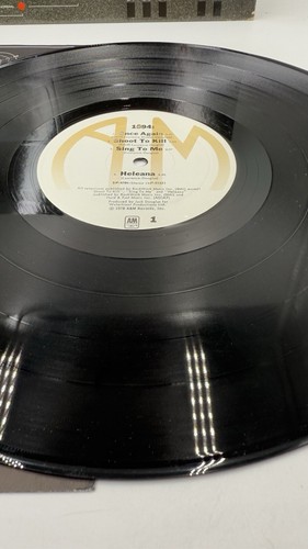 1994 ~ Self Titled A&M Records ~ Karen Lawrence LP - Picture 11 of 15