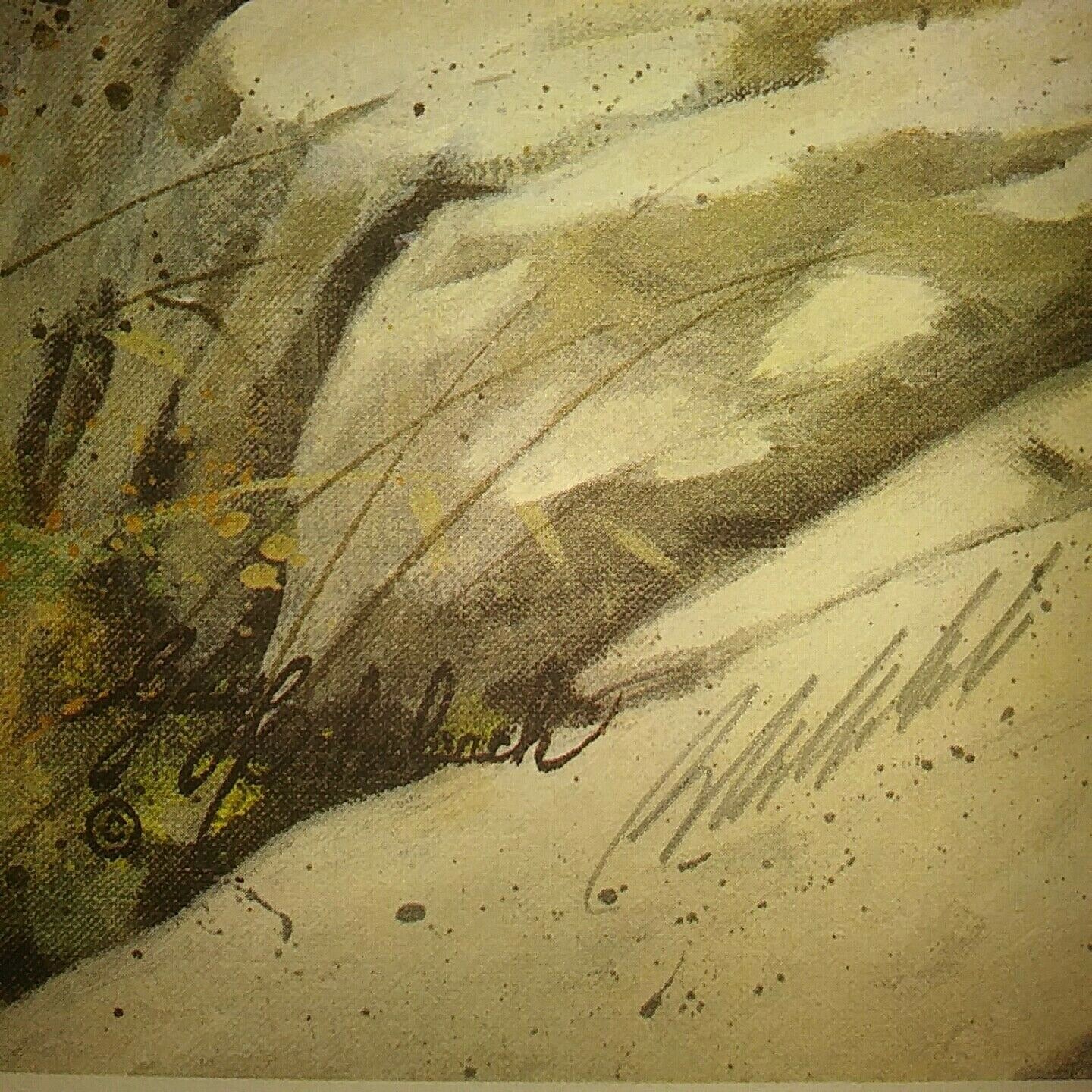 Picture 2 of 9