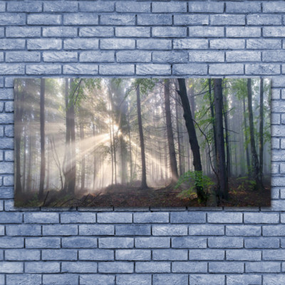 Acrylglasbilder Wandbilder aus Plexiglas  140x70 Wald Natur