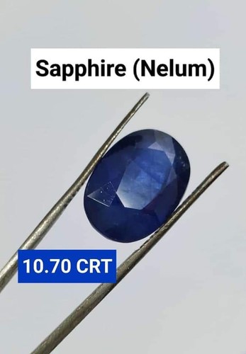 Sapphire (Elite choice) - Picture 5 of 5