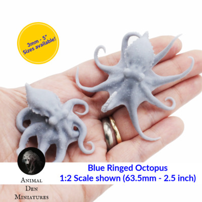 Blue Ringed Octopus - 1:1 Scale miniature figurine by Animal Den Miniatures