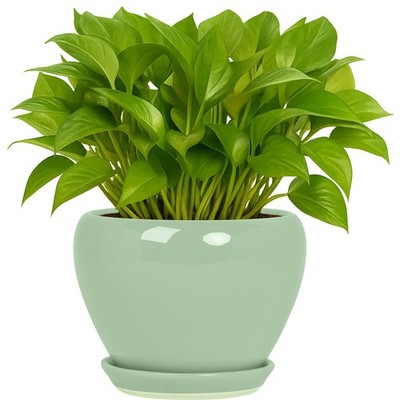 6 Inch Ceramic Plant Pots with Drainage Hole for Indoor Outdoor Succulents