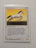 Pearled Unicorn - Revised - LP - Common - Creature - MTG