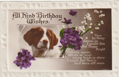 AK  Post Card  - Blumenstrauß - Hund - Birthday