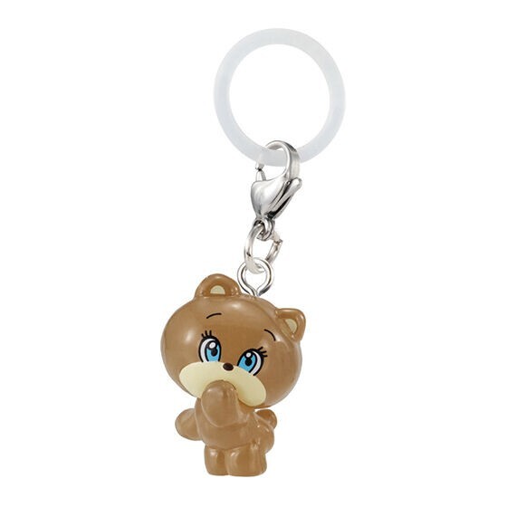 foxy illustrations sign accessories Collection Complete of 5