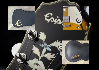 Custom Made Vinyl Logos for Guitar Hardcase and Pick Guard