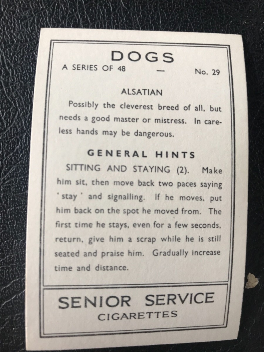Dogs Senior Service Cigarette Cards