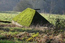 Photo 6x4 Moss covered roof Winstone Moss covered roof on a shed at Cotsw c2014