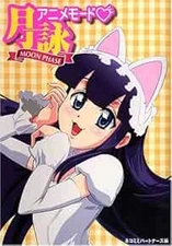 Tsukuyomi Moon Phase Anime Mode data art book Japan book form JP