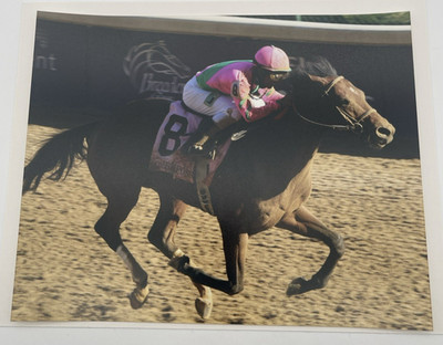2011 Breeders  Cup Dirt Mile Caleb s Pose & Rajiv Maragh 8x10 Photo
