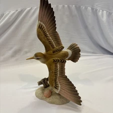 Vintage Sandpiper Bird 1986 Homco Masterpiece Porcelain