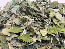 Dried Catnip whole leaf, Mixed sizes, 2 oz dry weight, Premium, fresh dried