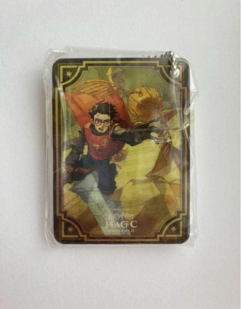 Harry Potter: The Magical Awakening Acrylic Charm