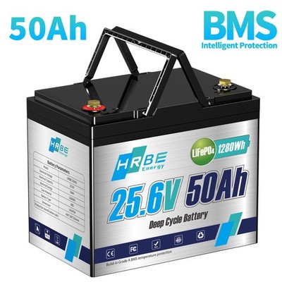 24V LifePo4 50Ah Lithium Batterie Akku Boot BMS Wohnmobil 10 Jahre Lebensdauer