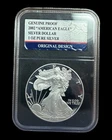 2002-W One Ounce American PROOF Silver Eagle * DEEP CAMEO