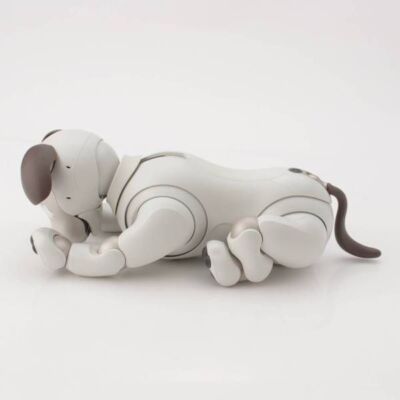 Sony AIBO ERS-1000 White Entertainment Robot Dog accessories