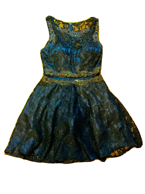 Anny Lee Woman Dress Blue Lace Rhinstone Party Prom Dance Petticoat Formal  L | eBay