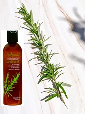Influance Rosemary Conditioner 8 oz Detangles Softens No Sulfates
