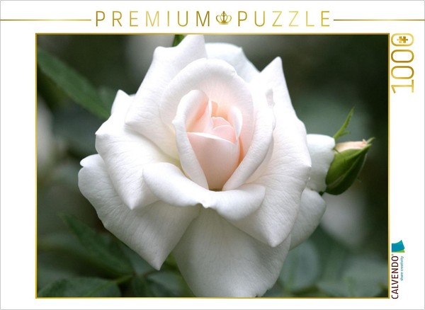 Calvendo Puzzle Rose 'Greeting To Aachen' | 1000 Pieces, Finished Size 25.2 × 18-image