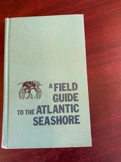 Field Guide to the Atlantic Seashore Invertebrates and Seaweeds First 1st VG HC