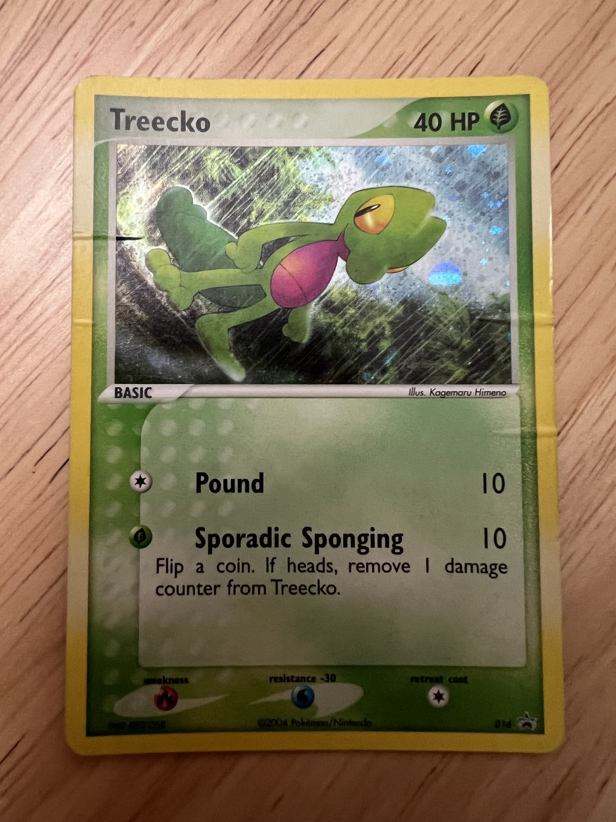 Pokémon Treecko #016 Holo SWIRL Black Star Promo MP